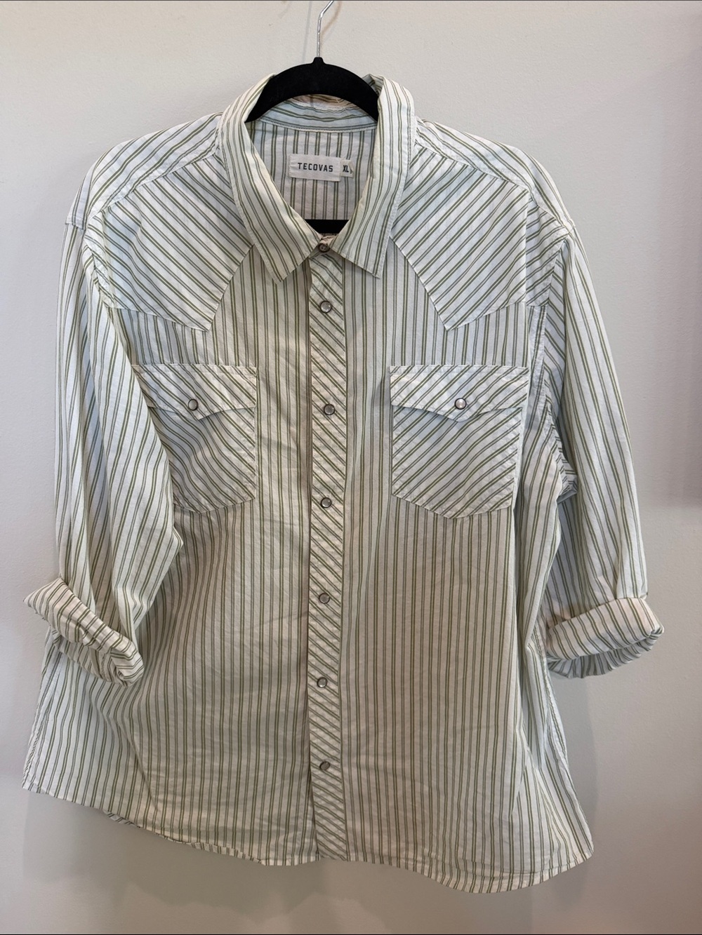 Tecovas Men's Striped Button-Up Shirt in Green and White